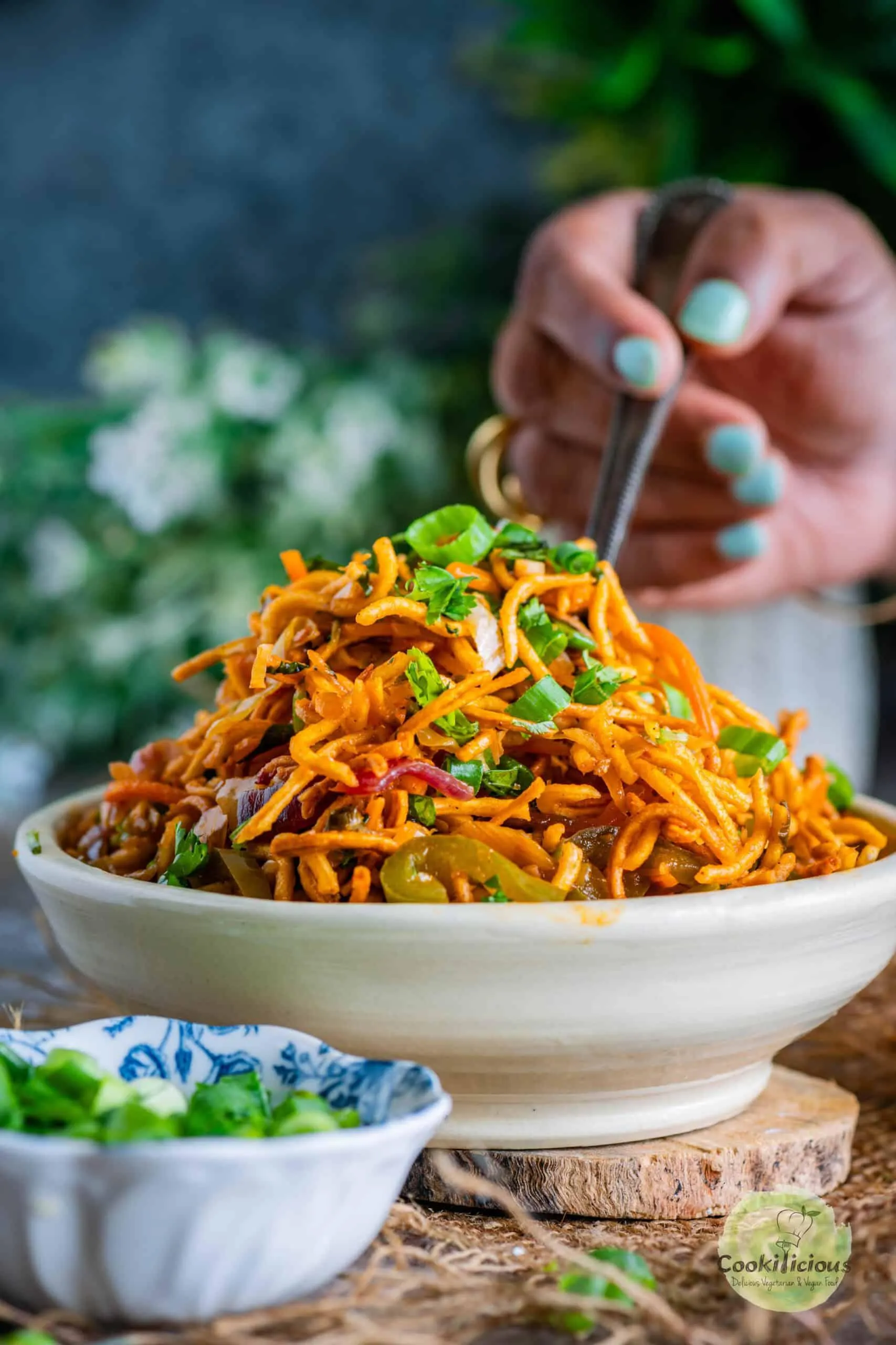 Chinese Bhel
