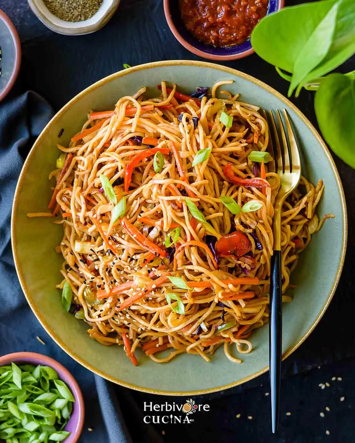 Shezwan Noodles