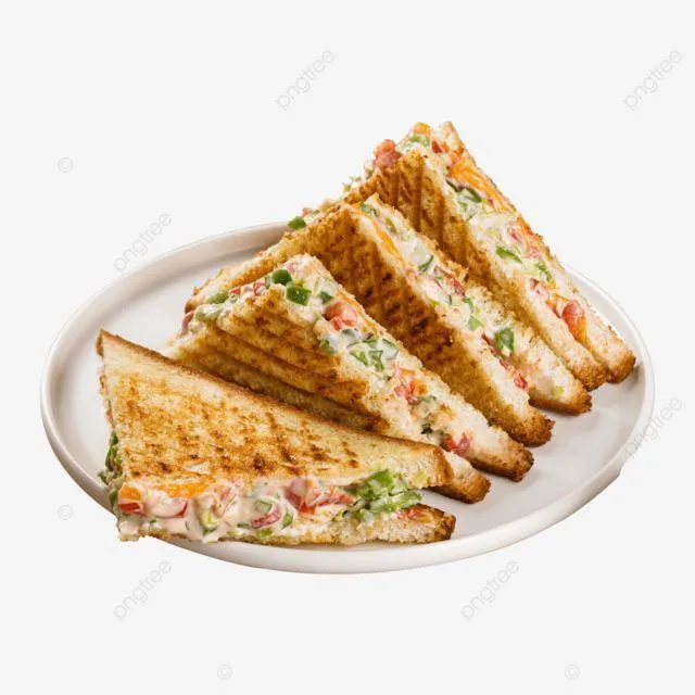 3 in 1 Grill Sandwich