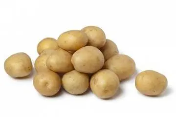 Potato